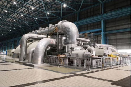 上海這五年 技術(shù)驅(qū)動(dòng)下的生態(tài)新貌與垃圾分類新風(fēng)尚